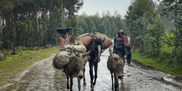 At scene of Ethiopia’s new killings, some fight, some flee