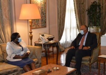Shoukry holds talks with South Sudanese FM