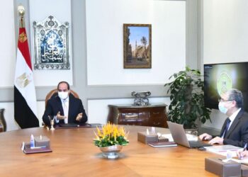 Sisi reviews progress on petroleum, electricity projects nationwide