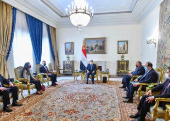 Sisi, US national security advisor discuss ties, regional issues