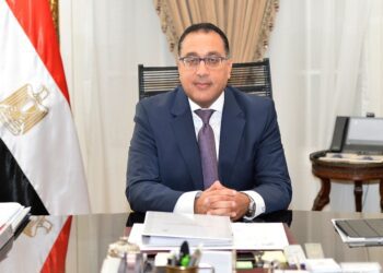 PM: Sisi totally supports strategy of localising auto industry