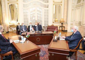 Shoukry stresses Egypt’s continued support to Palestinian cause