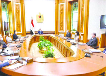 Sisi for increasing private sector share of investment