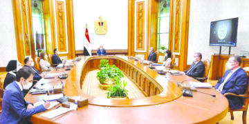 Sisi for increasing private sector share of investment