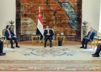 Sisi stresses Egypt keenness to support Iraq in all fields