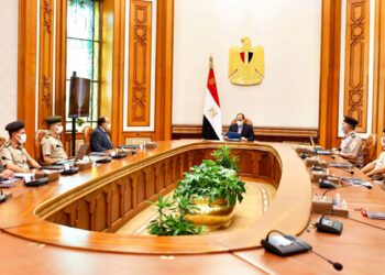 Sisi checks progress in construction projects nationwide