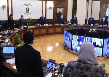 Cabinet observes minute silence over death of Tantawi