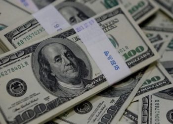 Dollar exchange rate up during Sunday's transactions 2 - Egyptian Gazette