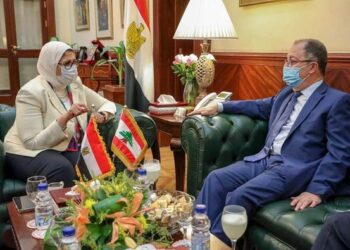 Egypt ready to meet Lebanese health sector requirements