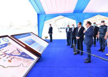 Sisi highlights steps toward full automation of customs, tax procedures