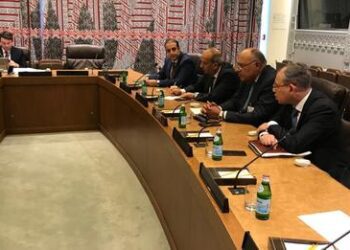 Shoukry, Irish FM discuss boosting bilateral ties