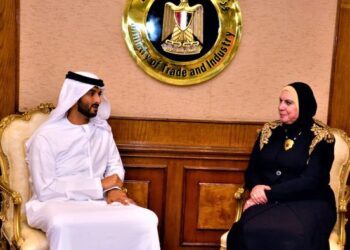 Egypt attaches great importance to boosting ties with UAE