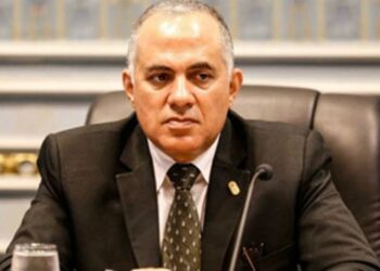 Cairo supports rights of Egyptians, Africans to achieve development – Minister