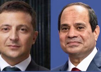 Cairo, Kyiv  discuss ties, regional issues