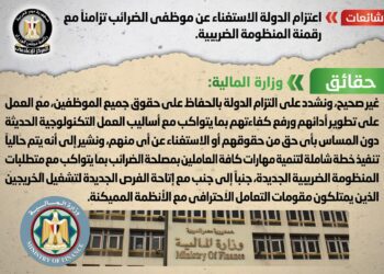 Egyptian gov’t denies dismissing tax employees with digitization of national tax system