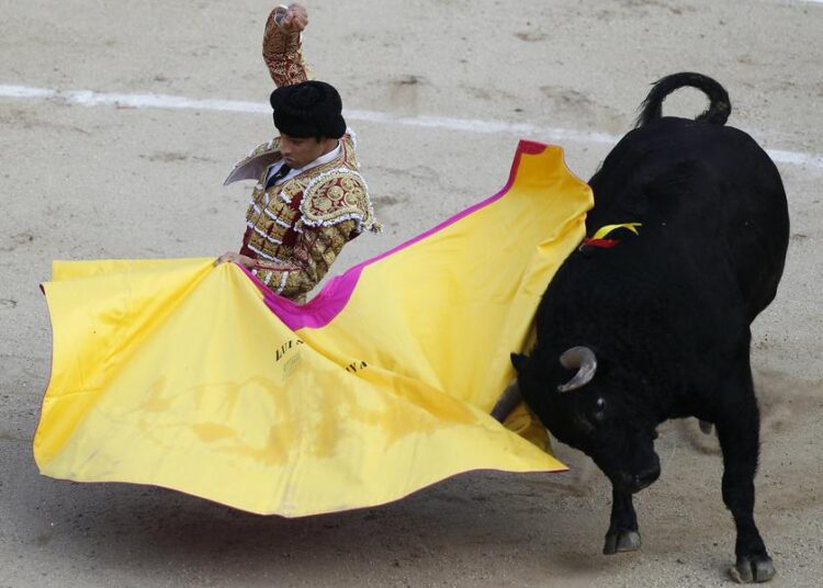 A public debate over whether bull-running festivals should be abolished has become more heated in recent years.