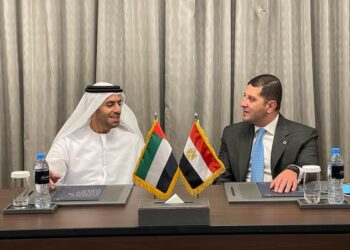 Egypt reviews investment opportunities with UAE, Cyprus