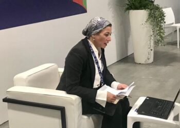 Egypt hosts, chairs (AAC) forum