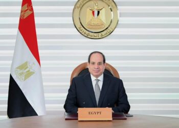 UPDATE -2: Sisi calls for relentless effort in face of challenges