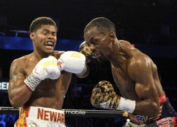 American Stevenson snatches WBO title