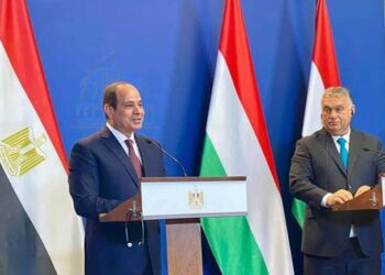 Sisi says restoring stability in migrant-exporting nations key to ending illegal immigration