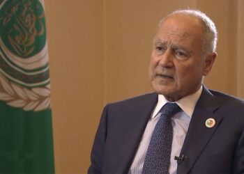 Sisi has great influence in recent key changes in Egypt: Abul Gheit
