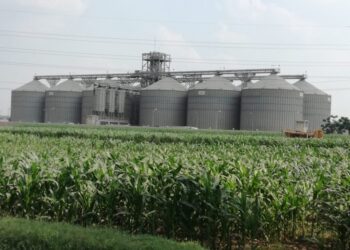 22 silos to be automated with IBM and ACME SAICO partnership