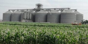 22 silos to be automated with IBM and ACME SAICO partnership