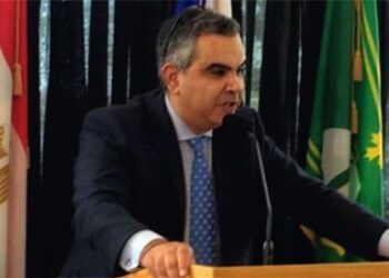 ’Egypt’s human rights strategy outcome of national effort ’