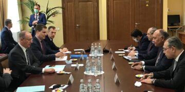 Egypt, Russia review ties, regional issues