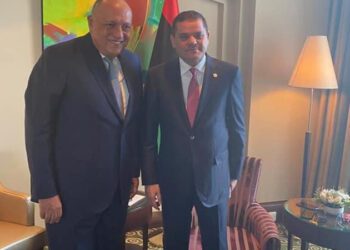 FM: Egypt supports Libya’s security, territorial integrity