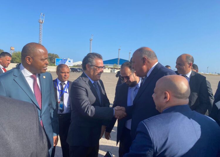 Shoukry holds talks with head of Libyan national unity govt 2 - Egyptian Gazette Shoukry holds talks with head of Libyan national unity govt 1 - Egyptian Gazette