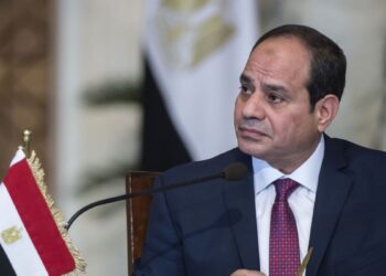 Sisi greets Czech counterpart on National Day