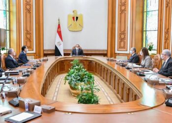 Sisi: Water treatment projects, modern techniques key to urban expansion