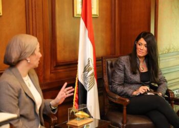 Mashat, Fouad discuss development projects in environment