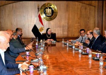 Egypt keen on developing economic co-operation with Bahrain – minister