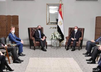 Sisi: Regional crises can be settled by achieving stability, backing national armies