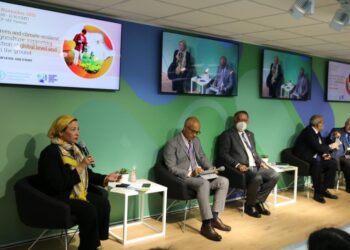 Egypt warns of impact of climate change on national income