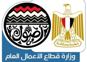 Project of producing electric cars still “on”, bundle of incentives provided: Public business sector ministry