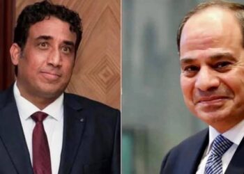 Sisi: Egypt fully supports political solution to Libyan crisis