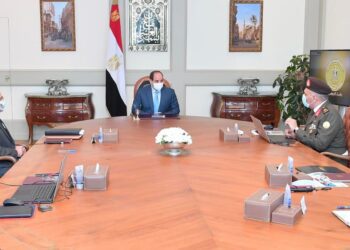 Sisi urges embracing modern architectural design concept for new capital roads