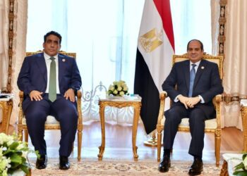 Sisi: Egypt’s primary goal is to achieve peace, security in Libya
