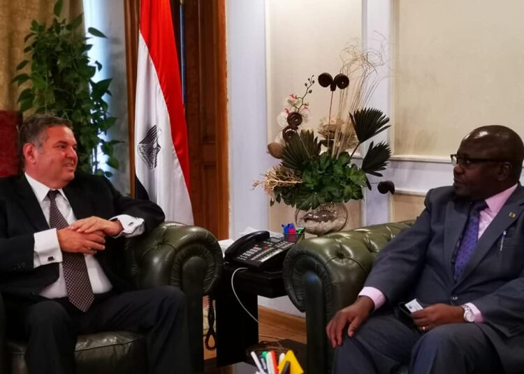 Egypt keen on boosting co-operation with Zambia 1 - Egyptian Gazette Egyptian Minister of Public Business Sector Hisham Tawfiq (L)
