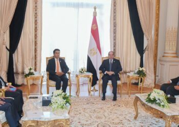 Sisi stresses keenness to strengthen ties with Madagascar