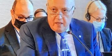 Shoukry: UfM goals easier to achieve when regional peace is realised