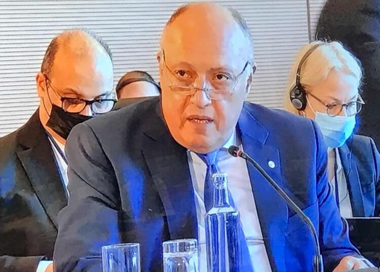 Egyptian Foreign Minister Sameh Shoukry