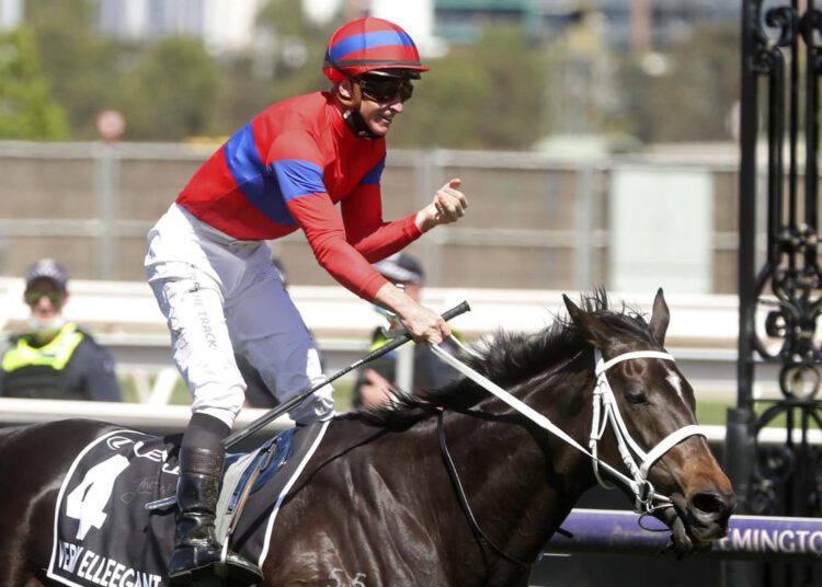 Verry Elleegant grabs Melbourne Cup 1 - Egyptian Gazette Verry Elleegant upsets hot favourite Incentivise to win Melbourne Cup.