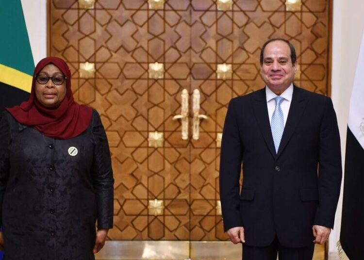 UPDATE : Sisi, Hassan discuss ways to enhance bilateral ties 1 - Egyptian Gazette President Abdel Fattah El Sisi and President of the United Republic of Tanzania, Samia Hassan
