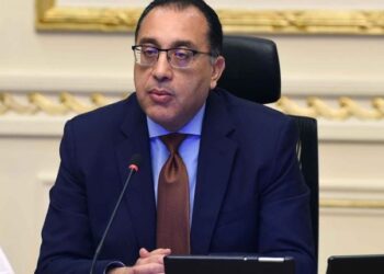 PM orders quick action to rehabilitate Aswan villages harmed by bad weather