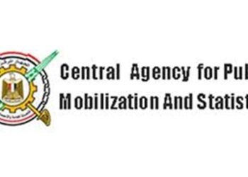 Egyptian exports to COMESA countries increase 32.4% within 9 months